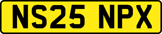 NS25NPX