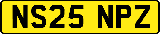 NS25NPZ
