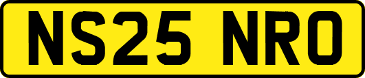 NS25NRO