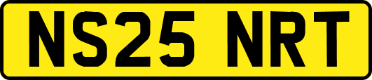NS25NRT