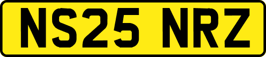 NS25NRZ
