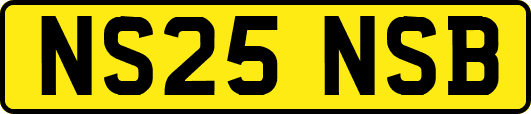 NS25NSB