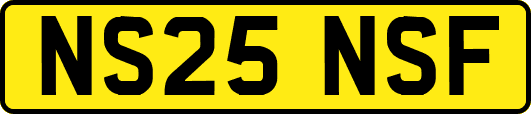 NS25NSF