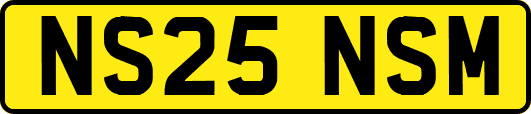 NS25NSM