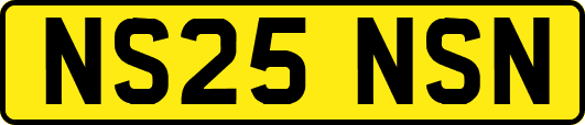 NS25NSN