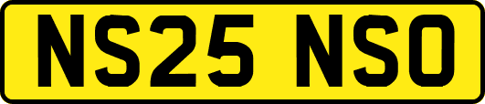 NS25NSO