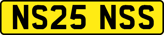 NS25NSS