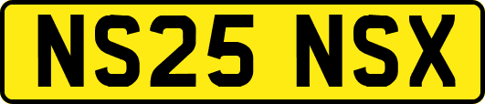 NS25NSX