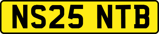 NS25NTB