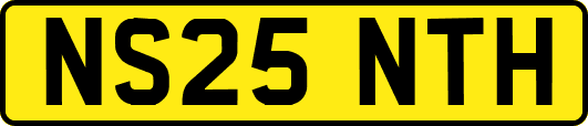 NS25NTH