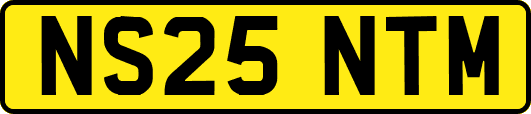 NS25NTM