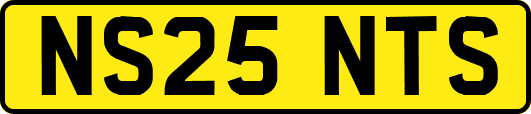 NS25NTS