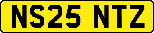 NS25NTZ