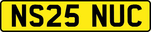 NS25NUC