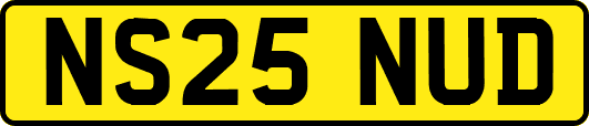 NS25NUD