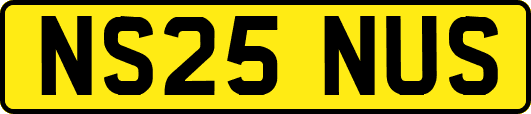 NS25NUS