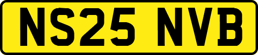 NS25NVB