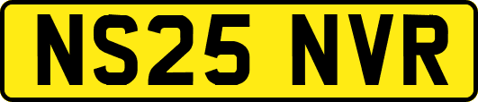 NS25NVR