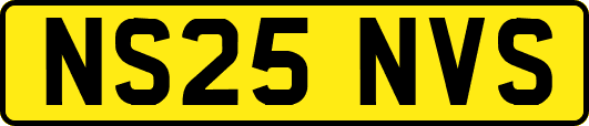 NS25NVS