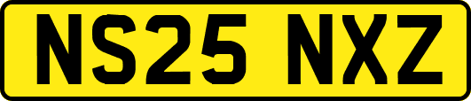 NS25NXZ