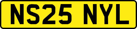 NS25NYL