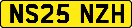 NS25NZH
