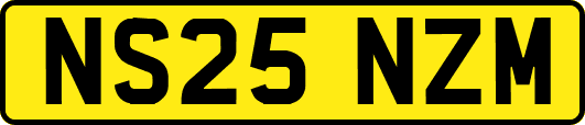 NS25NZM