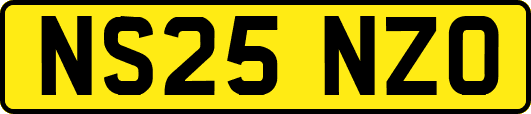 NS25NZO