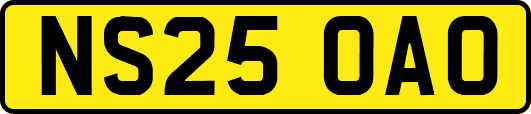NS25OAO