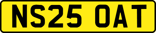 NS25OAT