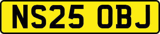 NS25OBJ