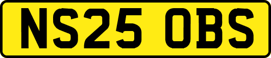NS25OBS
