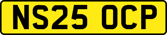 NS25OCP