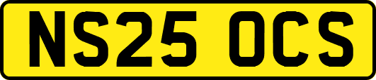 NS25OCS