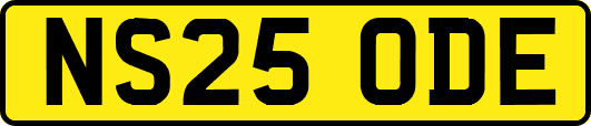 NS25ODE