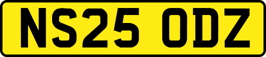 NS25ODZ