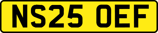 NS25OEF