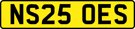 NS25OES