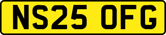 NS25OFG