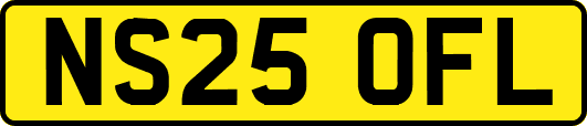 NS25OFL