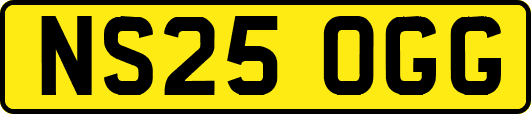 NS25OGG