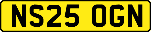 NS25OGN