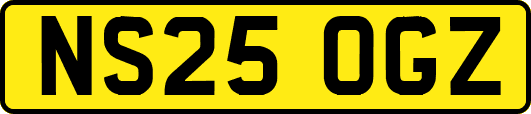 NS25OGZ