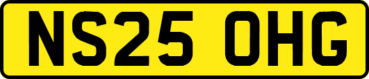 NS25OHG