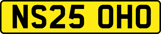 NS25OHO