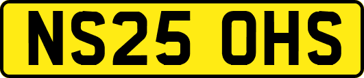 NS25OHS