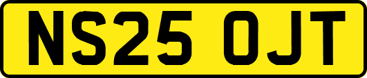 NS25OJT