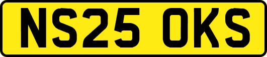 NS25OKS