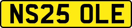 NS25OLE