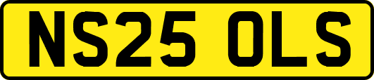 NS25OLS